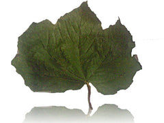 Leaf 2